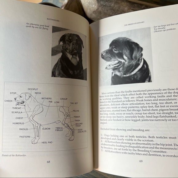 Dog Coffee Table Book - Picture 8 of 16